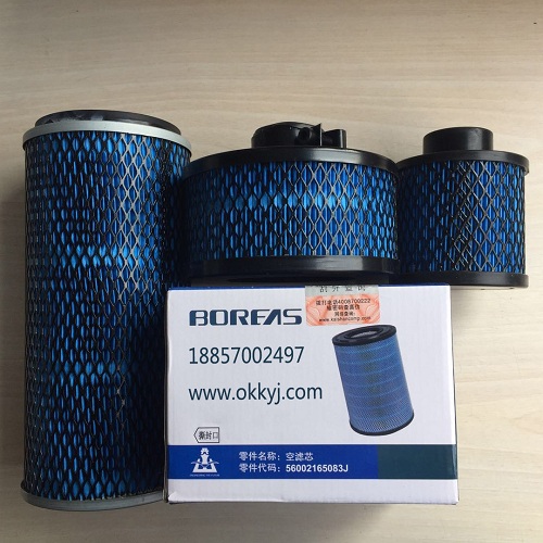 開(kāi)山空氣濾(lǜ)芯_螺桿空(kong)壓機空濾(lü)總成